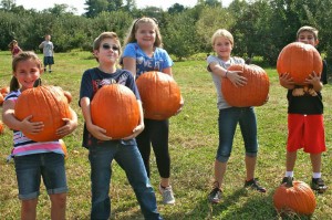 Pick pumpkins at Battleview Orchards