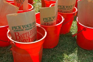 Pick Your Own Fruits at Battleview Orchards