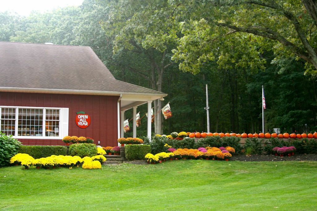 Pick your own fruits at Battleview Orchards