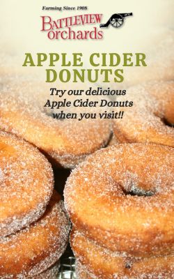 Apple Cider Donuts